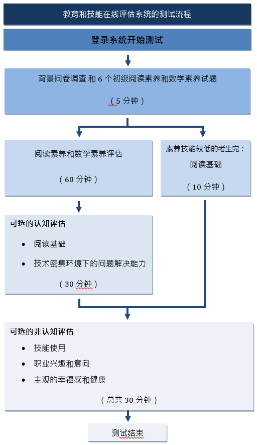 Diagram showing the testing flow (Chinese)